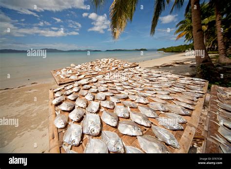 palawan island fishing resorts|Fishing in Palawan .
